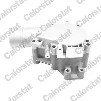 CALORSTAT VERNET TH7321.84J Termostat resmi