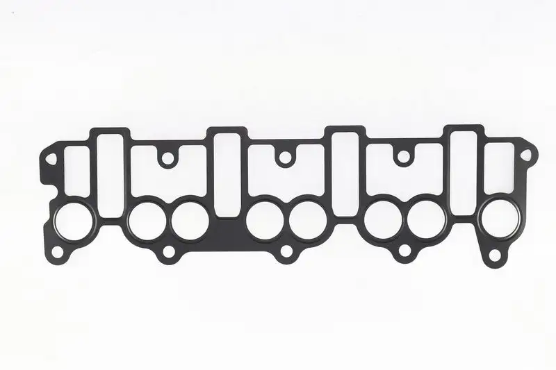 CORTECO 026257P (83026257) Emme Manifold Contası resmi