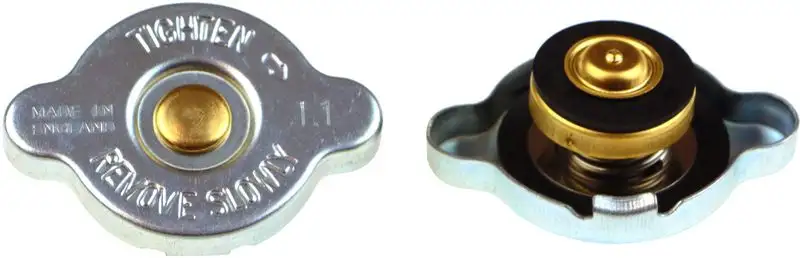RAPRO R66134 Yedek Su Depo Kapağı resmi