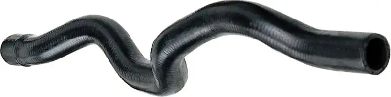 RAPRO R12157 Kalorifer Hortumu 7700413938 resmi