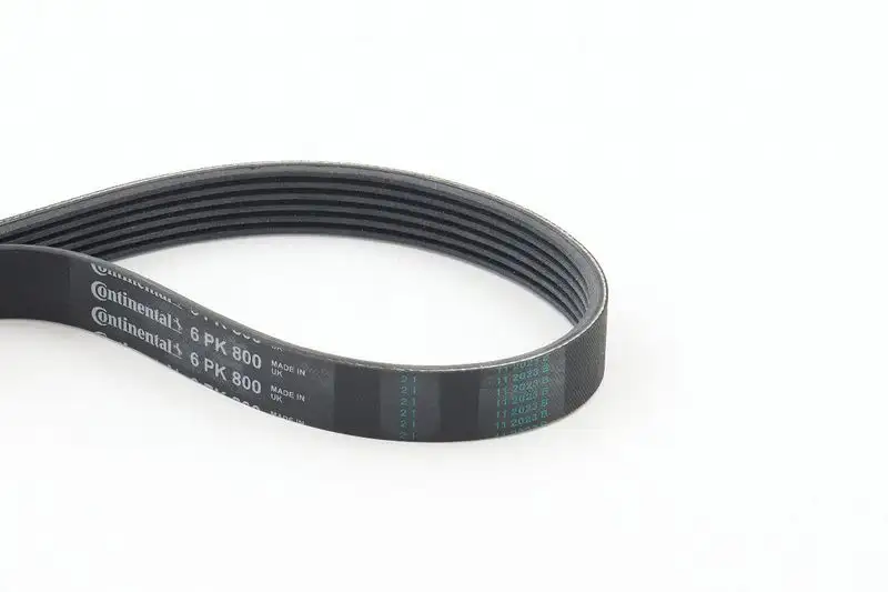CONTITECH 6PK800 Kayış resmi