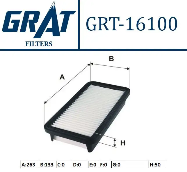 GRAT 16100 Hava Filtresi 281131G100 resmi
