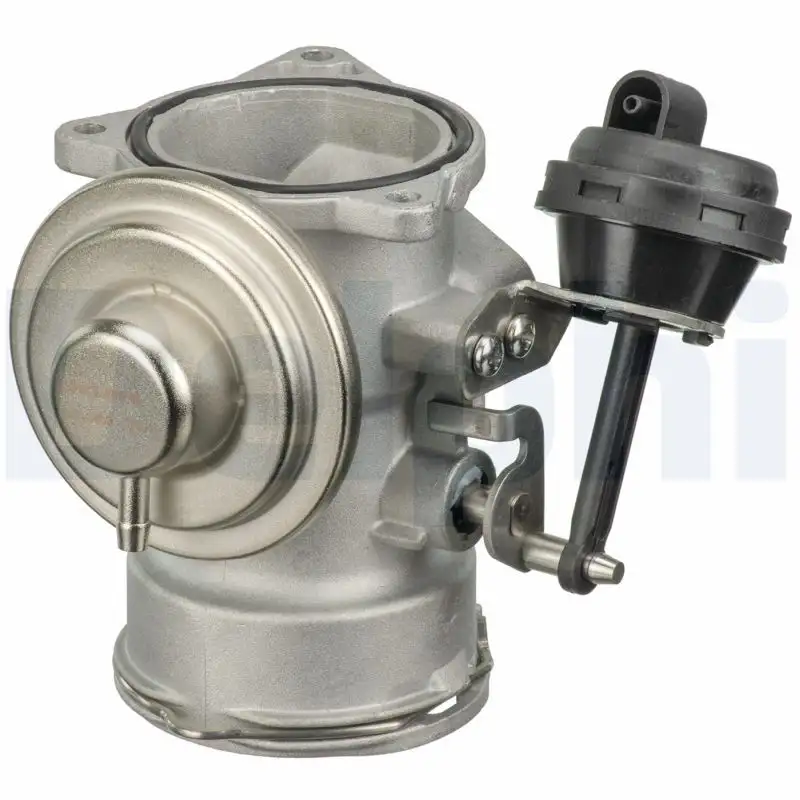 DELPHI EG10409-12B1 EGR Valfi resmi