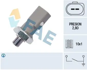 FAE 12855 Yağ Müşiri 06E919081C resmi