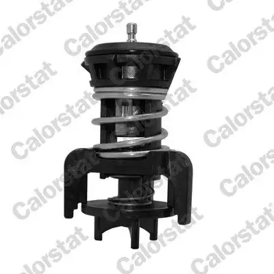 CALORSTAT VERNET TH7275.92J Termostat resmi
