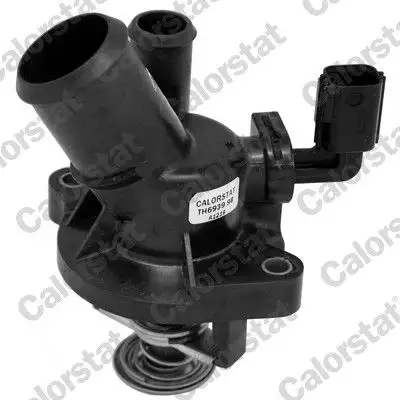 CALORSTAT VERNET TE6939.98J Termostat resmi