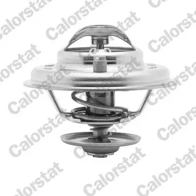 CALORSTAT VERNET TH5902.87J Termostat resmi