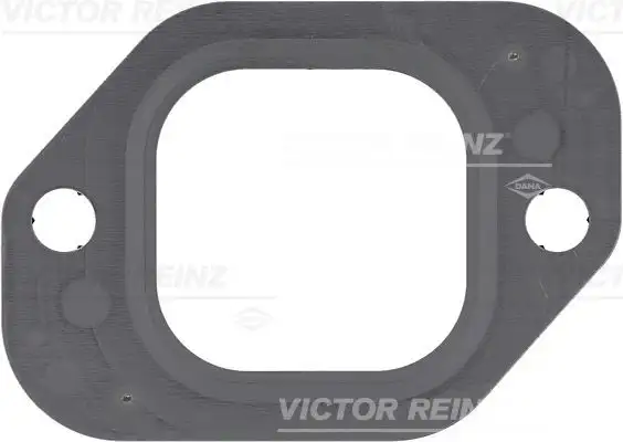 VICTOR REINZ 71-37894-10 Manifold Contası 7420855371 resmi