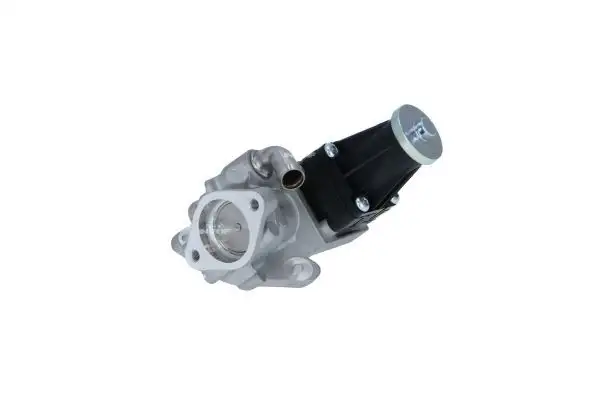 NRF 48356 EGR Valfi resmi