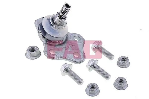 FAG 825034010 Alt Rotil 545016746R resmi