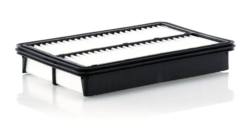 MANN C27019 Hava Filtresi PEAR133A0 resmi