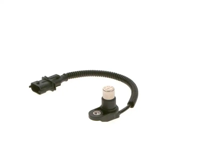 BOSCH 0281002453 Eksantrik Sensörü 500334956 resmi