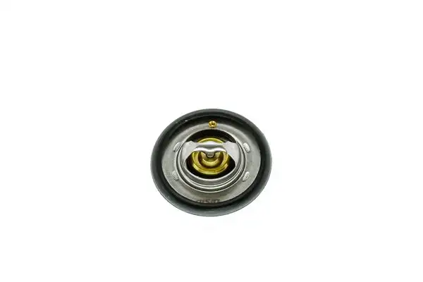 AISIN THRAZ-7027 Termostat resmi