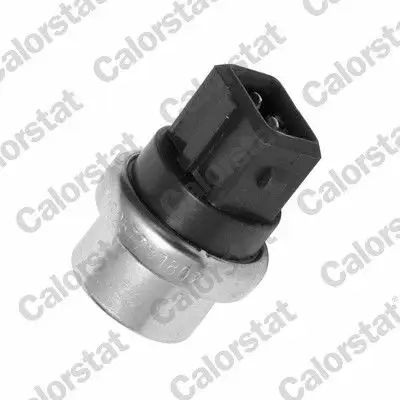CALORSTAT VERNET WS2577 Hararet Müşiri 1669965 resmi