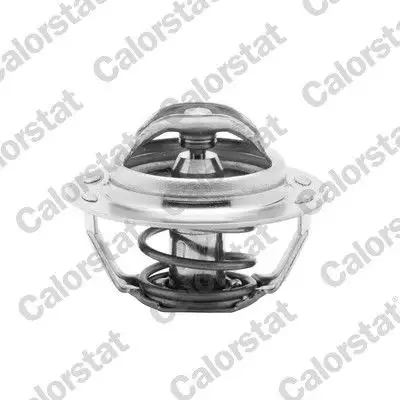 CALORSTAT VERNET TH4885.89J Termostat resmi