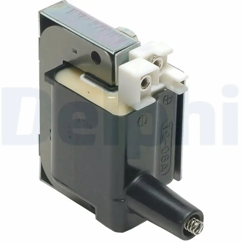 DELPHI GN10068-12B1 Bobin resmi