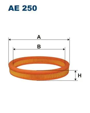 FILTRON AE250 Hava Filtresi 6162294 resmi