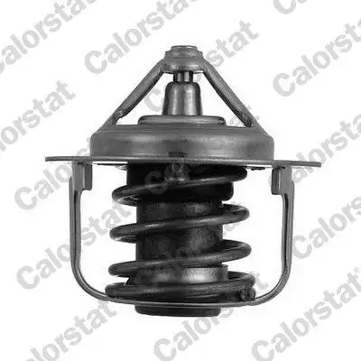 CALORSTAT VERNET TH5076.82J Termostat resmi