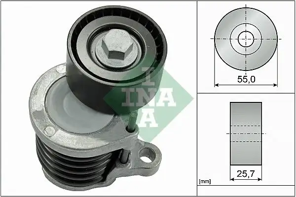 INA 534059110 Kayış Gergi Kütüğü resmi
