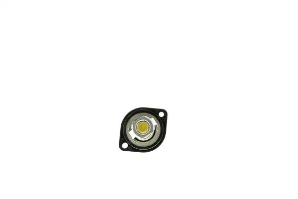 AISIN THRPS-7001 Termostat 1336Q1 resmi