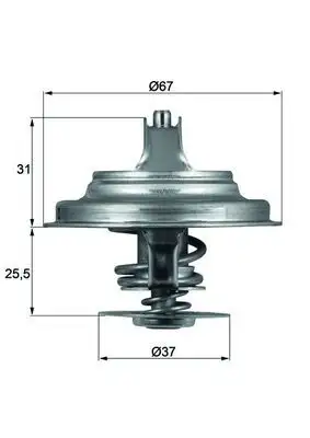 MAHLE TX2571D Termostat 076121113A resmi
