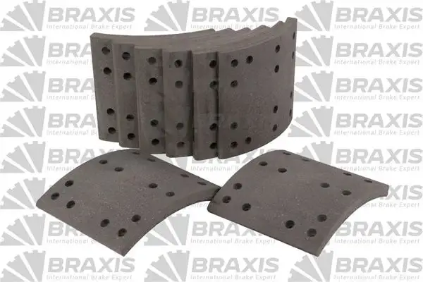 BRAXIS AC5010 Arka Fren Balatası M91003501 resmi