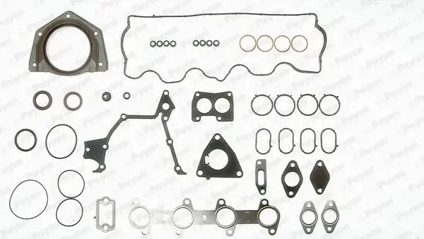PAYEN GZ790 Motor Takım Conta (Alt ve Üst) 71715698 resmi