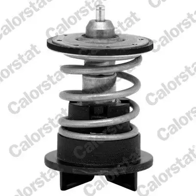 CALORSTAT VERNET TH7272.89 Termostat resmi