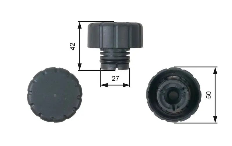 GATES RC244 Yedek Su Depo Kapağı A1695010015 resmi