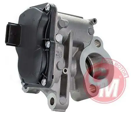 GUA 41134 EGR Valfi A6261400160 resmi