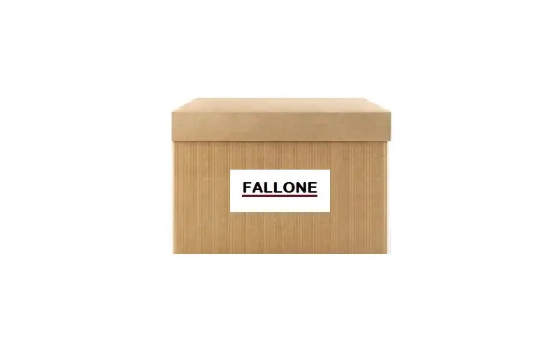 FALLONE 6497 Yağ Pompası 100150 resmi