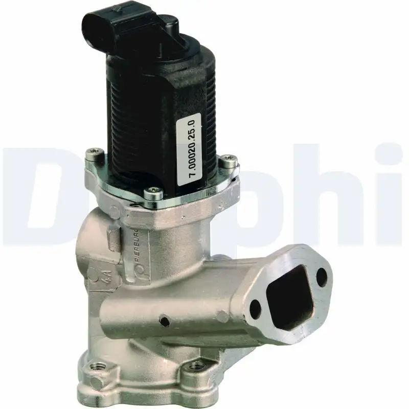 DELPHI EG10258-12B1 EGR Valfi resmi