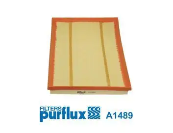 PURFLUX A1489 Hava Filtresi 13717548888 resmi