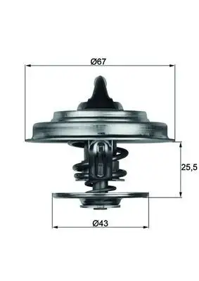 MAHLE TX1865 Termostat A0042036575 resmi