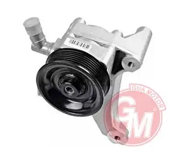 GUA 40633 Direksiyon Pompası 5801525984 resmi