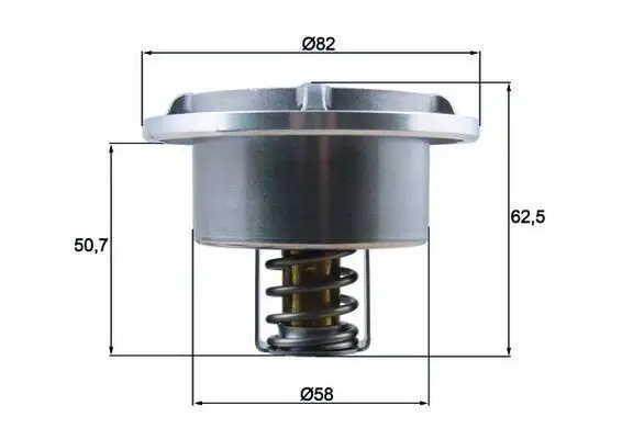 MAHLE THD686 Termostat resmi