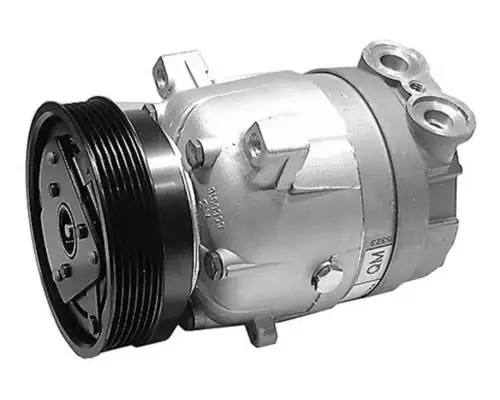 MAHLE ACP1090000S Klima Kompresörü resmi