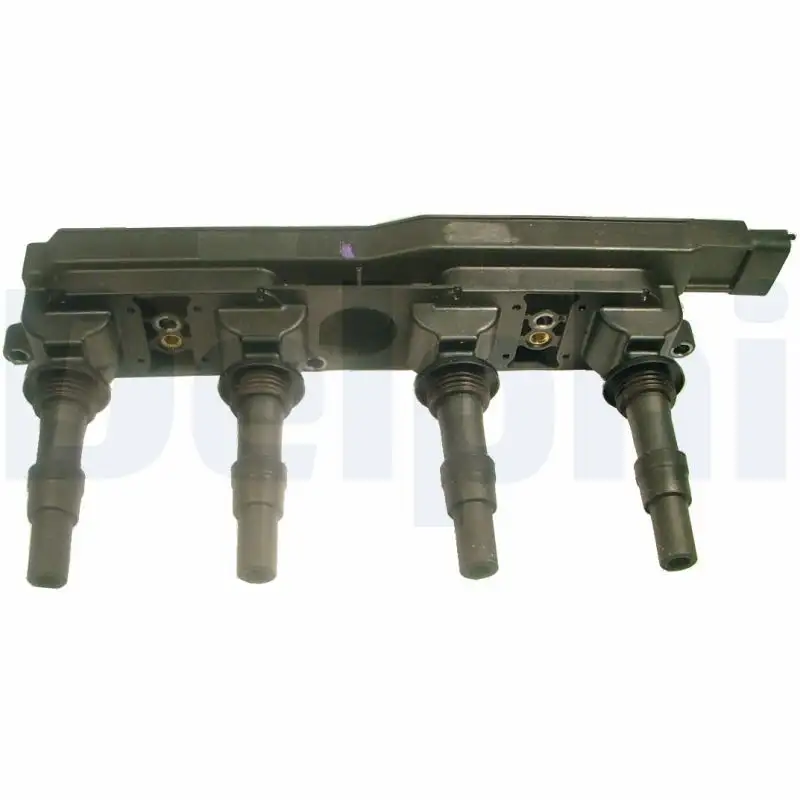 DELPHI GN10198-12B1 Bobin resmi