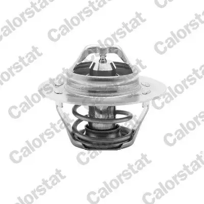 CALORSTAT VERNET TH5108.83 Termostat resmi