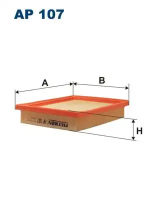 FILTRON AP107 Hava Filtresi 2811322301 resmi