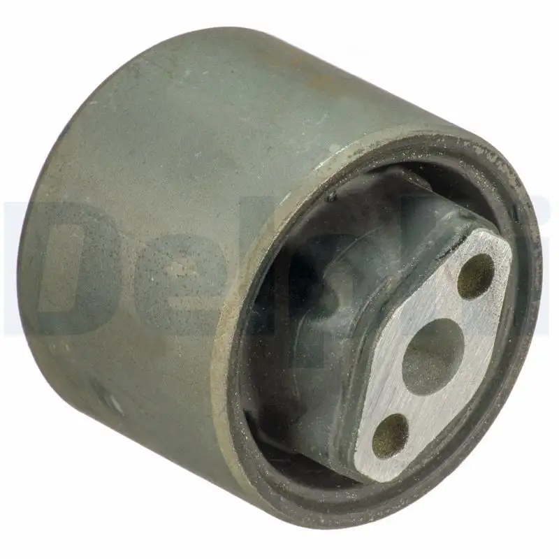 DELPHI TD1743W Salıncak Burcu resmi