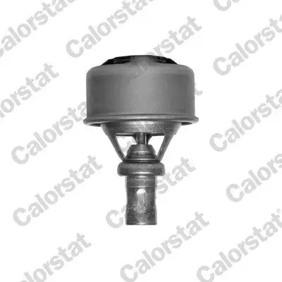 CALORSTAT VERNET TH4495.75 Termostat resmi