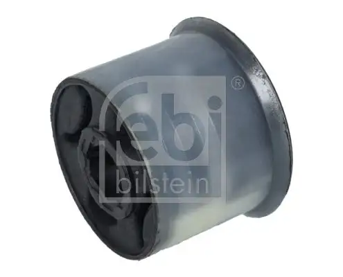 FEBI 31253 Salıncak Burcu resmi
