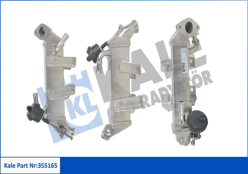 KALE 355165 EGR Valfi resmi