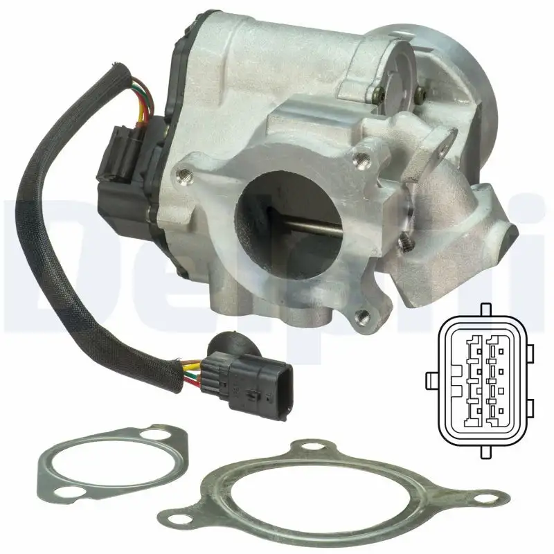DELPHI EG10495-12B1 EGR Valfi 7701210269 resmi