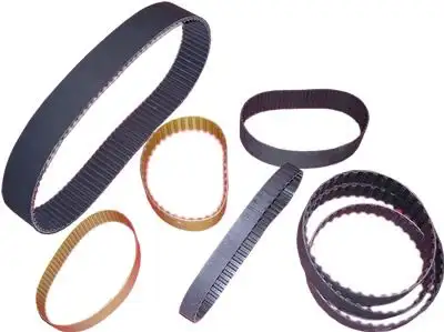 DAYCO 8PK1600HD (8PK1600) Kayış resmi