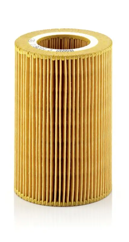 MANN C1036/1 Hava Filtresi resmi