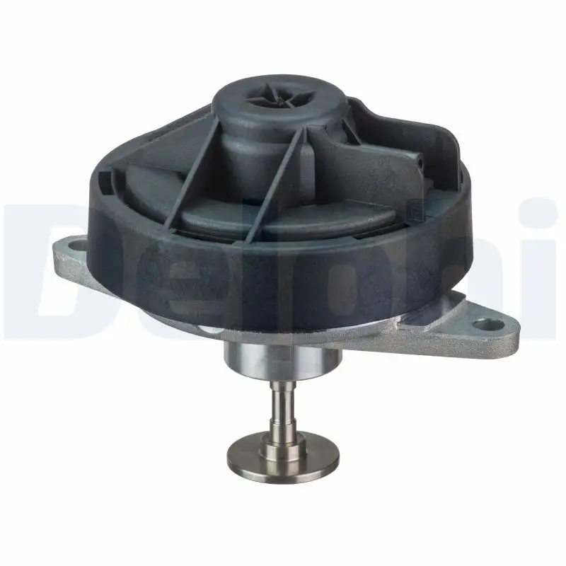 DELPHI EG10444-12B1 EGR Valfi resmi