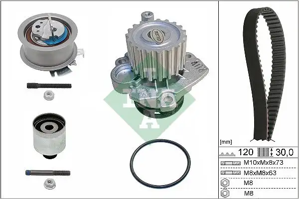 INA 530020133 Triger Seti ve Devirdaim resmi