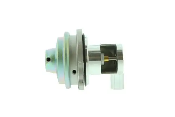 AISIN EGRAZ-7036 EGR Valfi resmi
